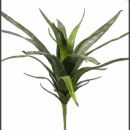 Dekoshop - stilvolle Dekorationen für jede Jahreszeit