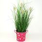 Preview: Topf Pink mit Graspflanze, Höhe 36cm