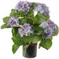 Preview: Kunstpflanze Hortensie, blauer Hortensienbusch groß, getopft