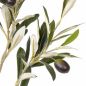 Preview: Künstliche Olivenzweige. 55cm. 3 Stück