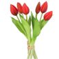 Preview: Schöner Tulpenbund als Blickfang