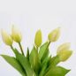 Preview: Tulpenbund Latex wie echt aussehend