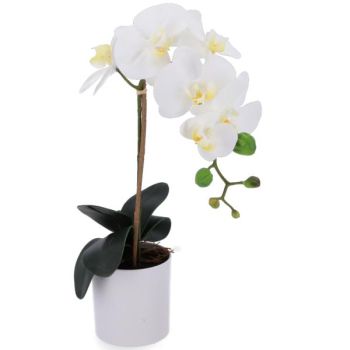 Pflanze real touch Höhe 47cm