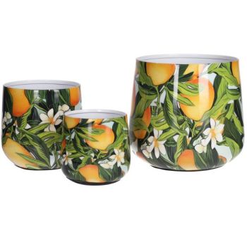 3er Set mit Orangen und Blüten Design