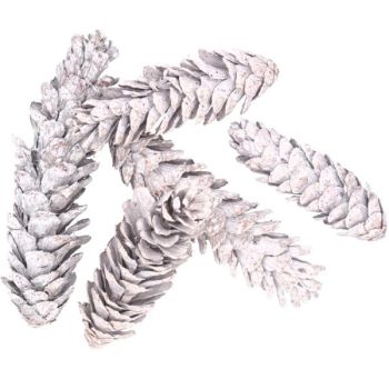 50 Stück Zapfen Strobus white washed gemischt