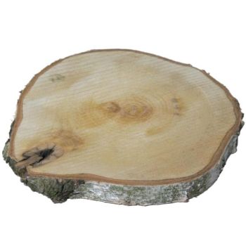 Birkenscheibe Durchmesser 25cm bis 30cm