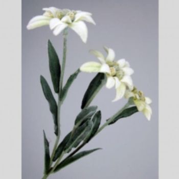 Künstlicher Edelweiss Pick mit drei Blüten. Länge 36cm