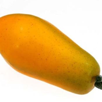 Künstliche Papaya Frucht, naturgetreue Papaya 17cm