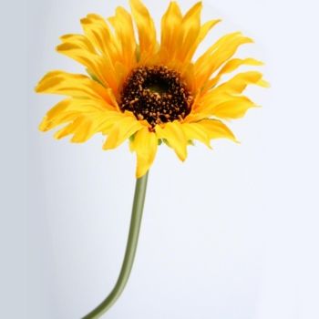 Künstliche Sonnenblumen. 12 Stück