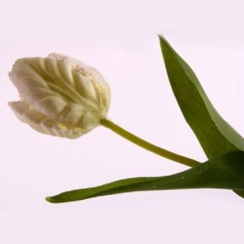 Künstliche Tulpen Dekoration naturgetreu