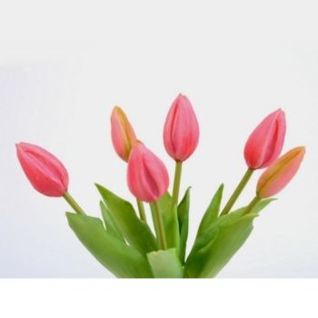 Künstlicher Tulpenbund Farbe Pink