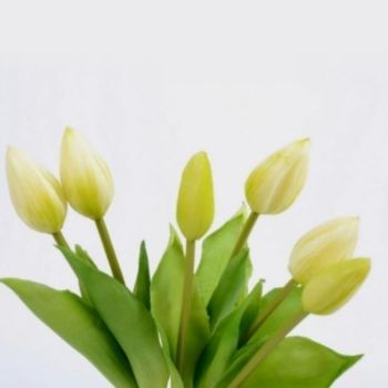 Tulpenbund Latex wie echt aussehend