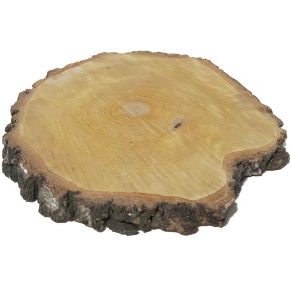 Birken Baumscheibe Natur D 25cm - 30cm