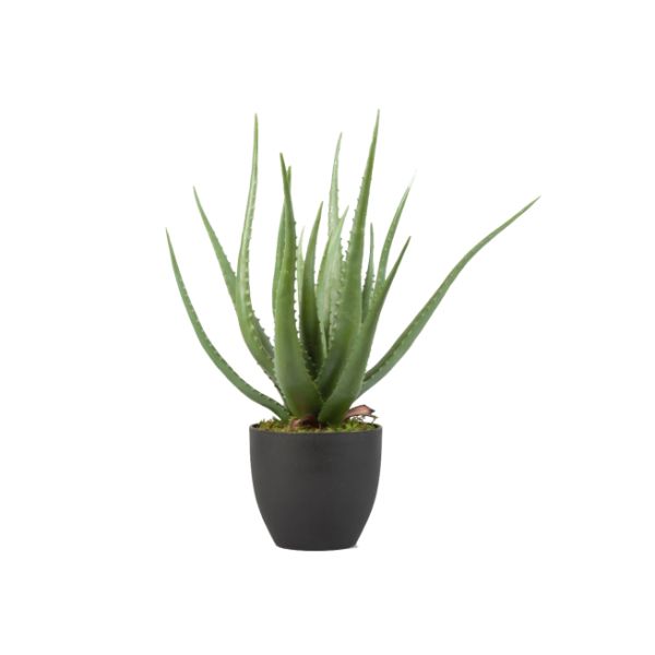 Kunstpflanze Aloe, Pflanze mit Topf. 55 cm.