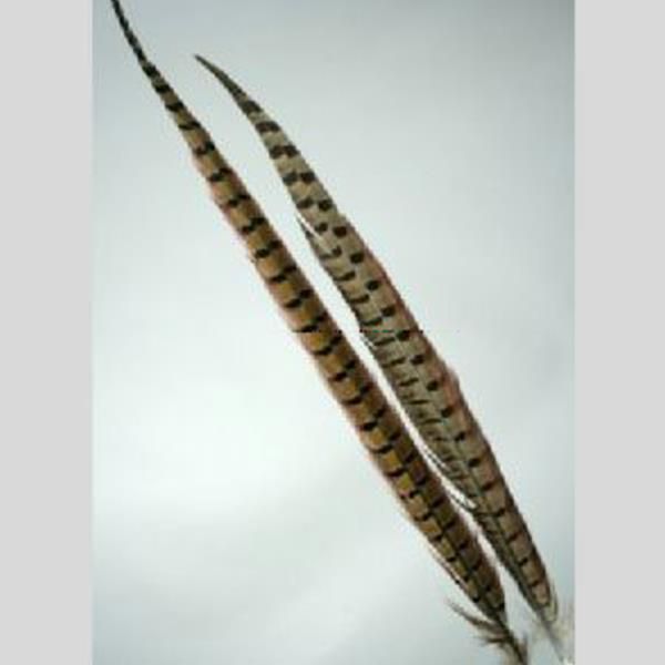 Länge 55cm, 3 Stück