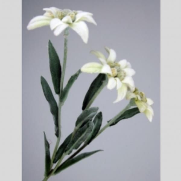 Künstlicher Edelweiss Pick mit drei Blüten. Länge 36cm