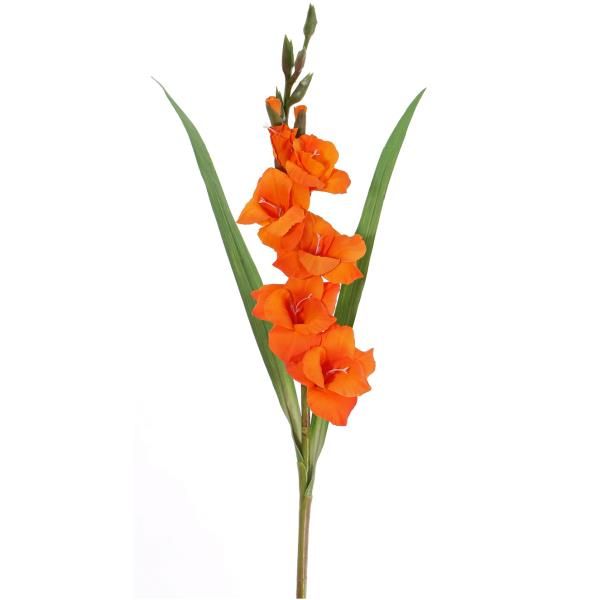 Gladiole Seidenblume orangefarben