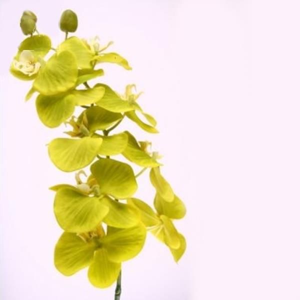 100cm Orchidee Seidenblume