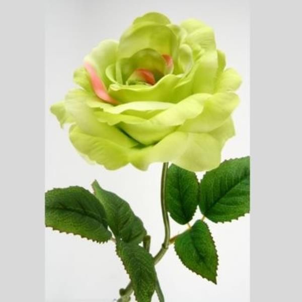 Grüne künstliche Rose