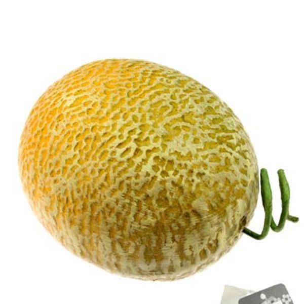 Künstliche Honigmelone, naturgetreue Melone, D 20cm