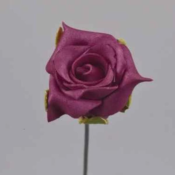 Rosen Farbe pflaume
