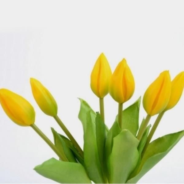 X 6 Tulpenbund in der Farbe gelb