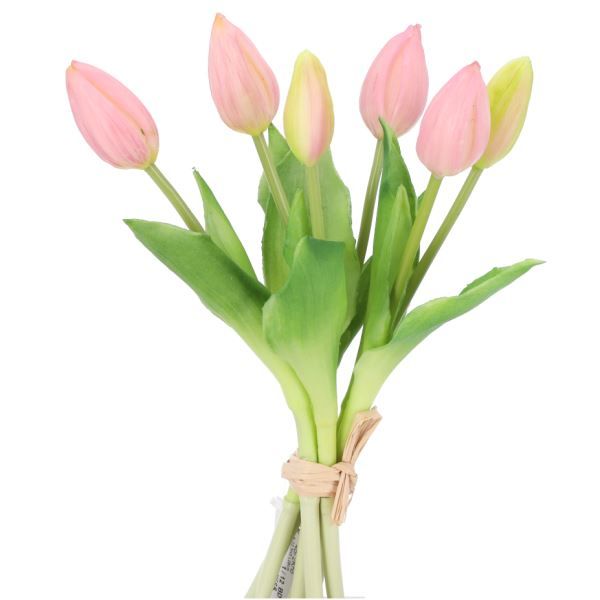 Tulpen für schöne Bürodekorationen