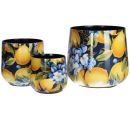 3er Set in 3 Größen