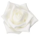 Weiße Rosen für die Kunstblumen Floristik