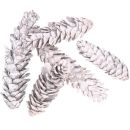 50 Stück Zapfen Strobus white washed gemischt