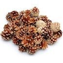 Gebleichte Zapfen Kiefer 5kg