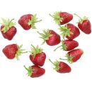 Lieferung 24 Stück Erdbeeren