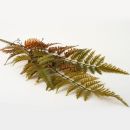 Künstliche Farnblätter Herbst Braun. 50 cm. 4 Stück