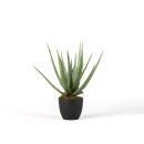 Kunstpflanze Aloe, Pflanze mit Topf. 47 cm.