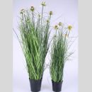 Seidenblumen Margeriten im Topf. H 65 cm.