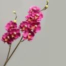 Phalaenopsis Zweig 54cm