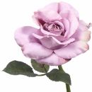 Rosen Kunstblume Violett Vintage, 1 Stück