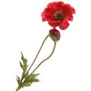 Naturgetreue Mohn Seidenblume