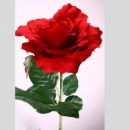 Jumbo Deko Rose rot