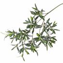 Zweige Oliven Aktuell, künstlich. 90 cm. 3 Stück